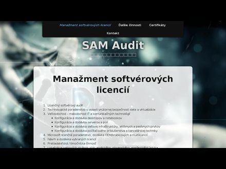 www.samaudit.sk