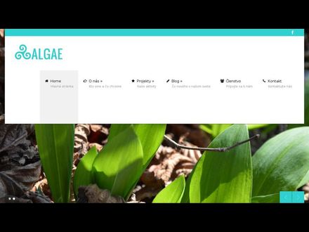 www.algae.sk