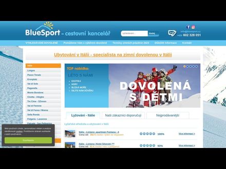 www.bluesport.cz