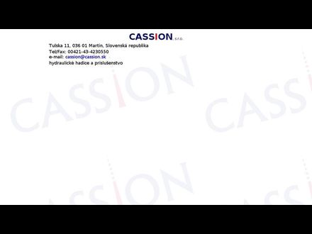 www.cassion.sk
