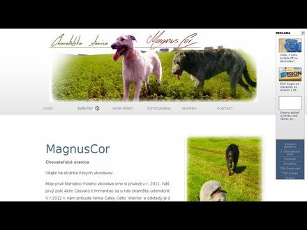 www.wolfhound-magnuscor.com