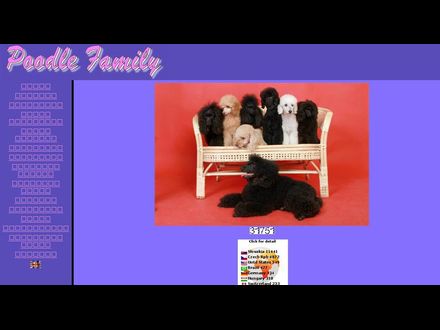 www.poodle-family.sk