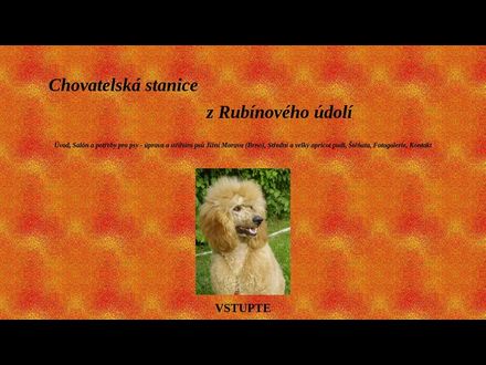 www.zrubinoveho-udoli.wz.cz