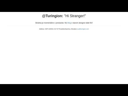 www.turingion.com