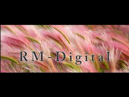 www.rm-digital.sk