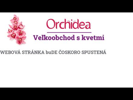 www.kvetyorchidea.sk