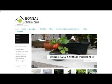 www.bonsajzilina.sk