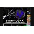 Carnivora-publishing.com