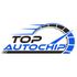 Top Autochip