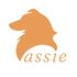 Salón pre psov Lassie