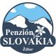 Penzión Slovakia - Pirog, IČO: 33091838